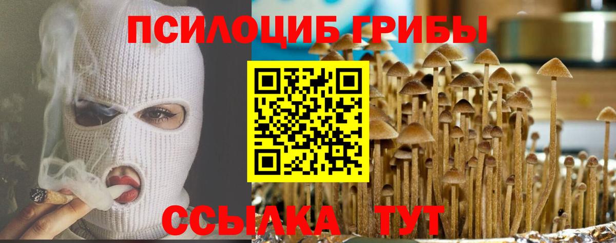 Псилоцибиновые грибы MAGIC MUSHROOMS  Вход с VPN  Чернушка 